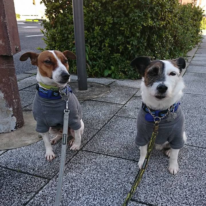 3fc7234e 3379 4c34 9045 bdfb823657f0 1584228134830