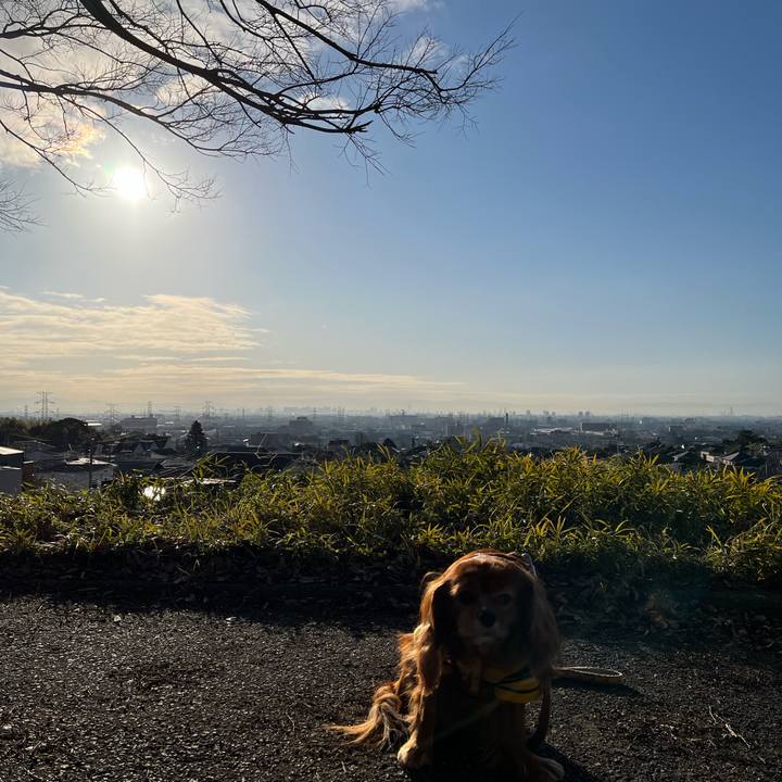 3fc72a65 fc9e 4693 bd04 38ab34d01872 1675556517609