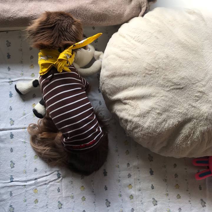 3fc73527 09eb 4d47 9987 ae6c283f6071 1582159238321