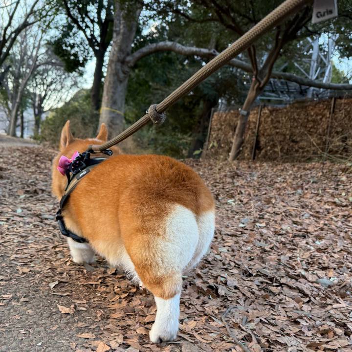 3fc7666d df32 4488 b9e4 24957acedbda 1769933345218