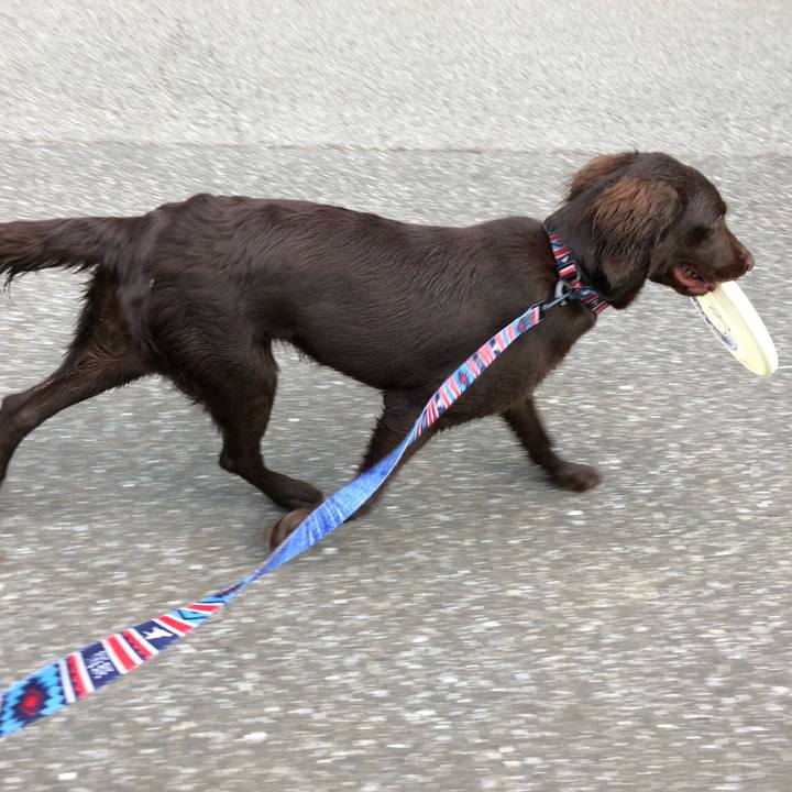 3fc76a78 51e8 45a6 b98b bfd4174e69b0 1561499647402