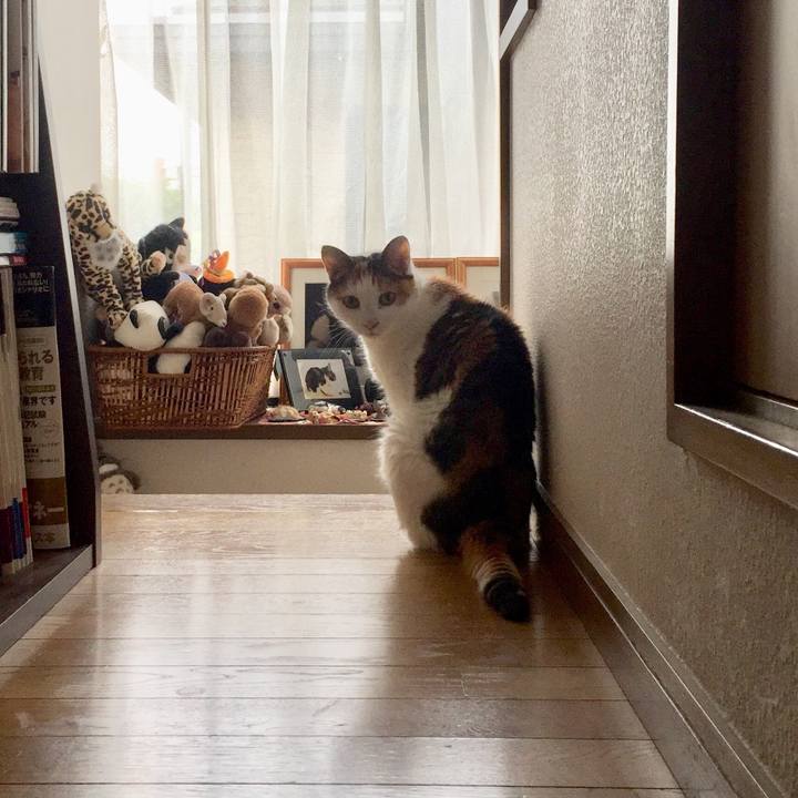 3fc7ba6e ab3e 4212 8e02 8da11273af8d 1566456768694