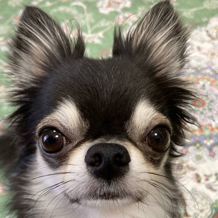 3fc7c698 5958 48ae 88f3 0e10bcde6858 1664580842065