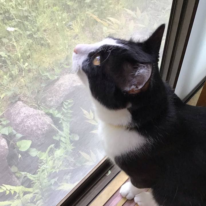 3fc7de22 1934 4a71 ab59 74841591eda0 1651733368294