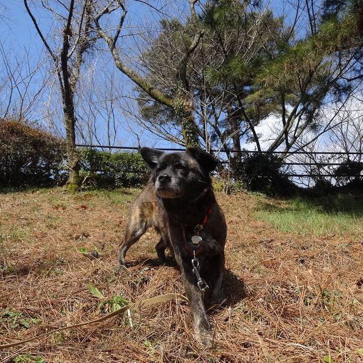 3fc84f73 8d63 451e bf49 f261382b719b 1520078387074