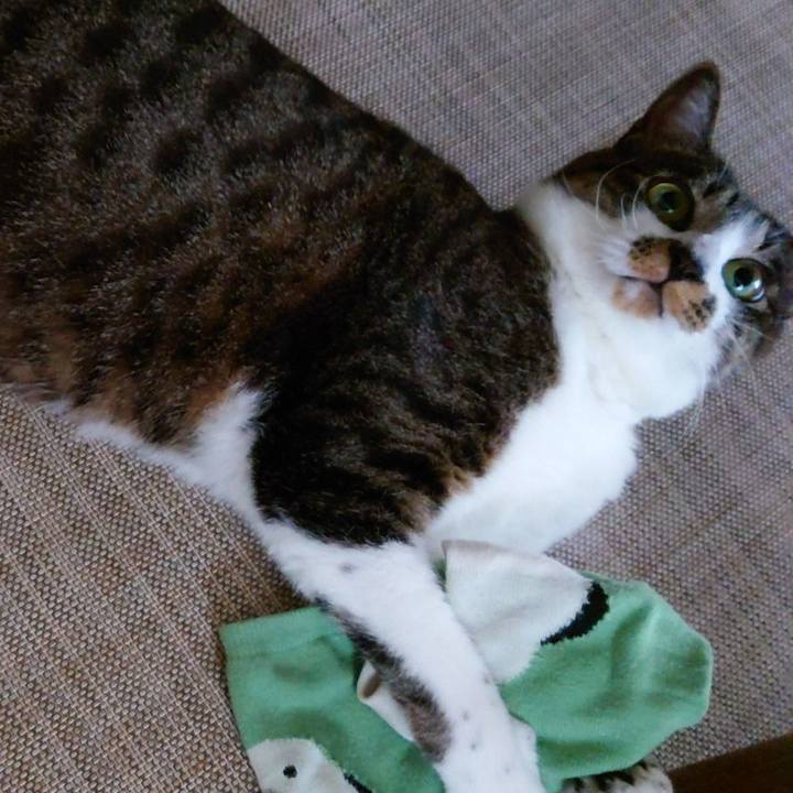 3fc86858 38ed 40e0 8ccf 2d02e5242b07 1761109945669