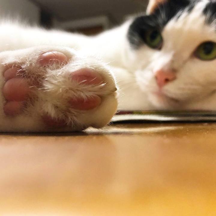 3fc88fba 99dd 4d51 9ffb d6b32d1faf68 1565871858840