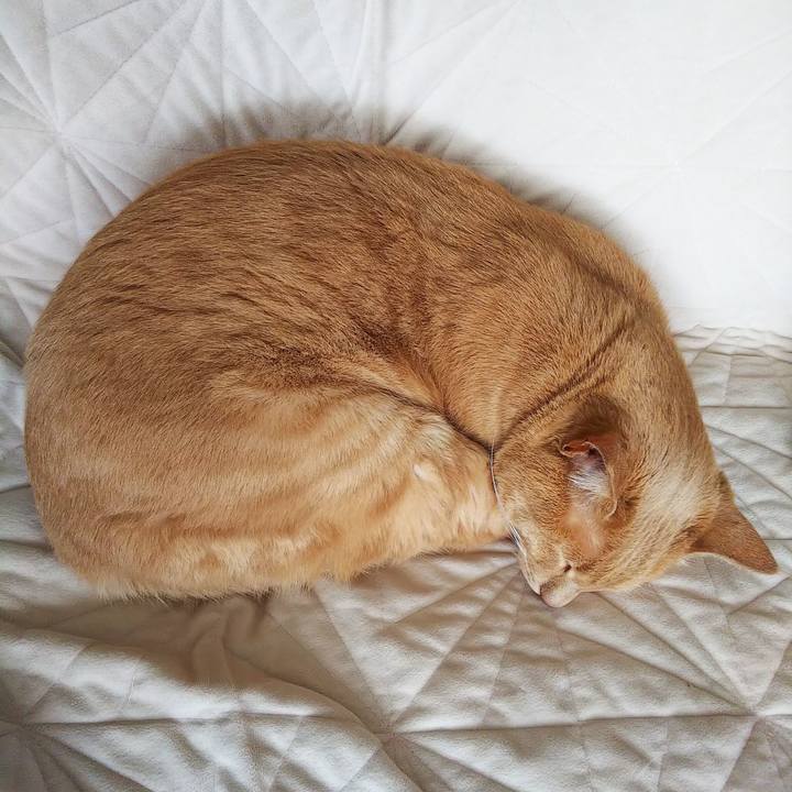 3fc89100 8641 42d2 8786 13e1ac214c9b 1651012676679