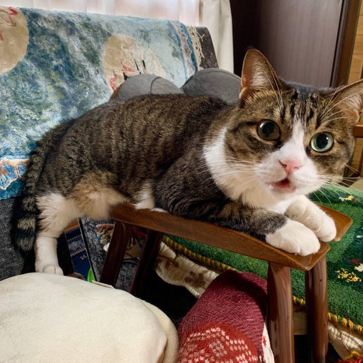 3fc8b021 060a 4fd7 b9d6 c3420e235ad3 1563491255913