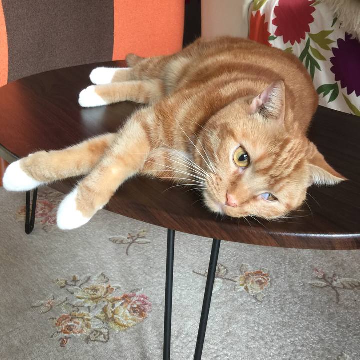 3fc8baf9 2a9e 4009 8915 f35a176a8596 1576898263872