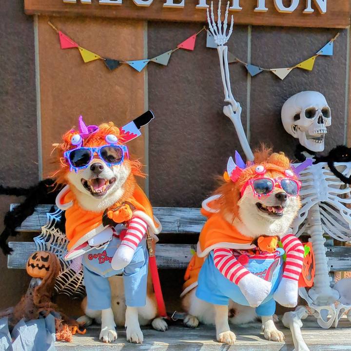 3fc8c347 d03d 4f2d a7fb 8e80073a8369 1760331714738