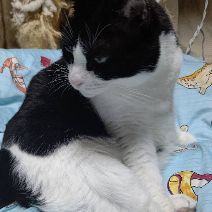 3fc8cb75 800f 45c3 91df 19dfef7185d6 1635768479740