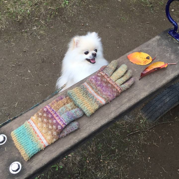 3fc90a87 7c8e 4396 b8e2 185d990098f2 1543281652601