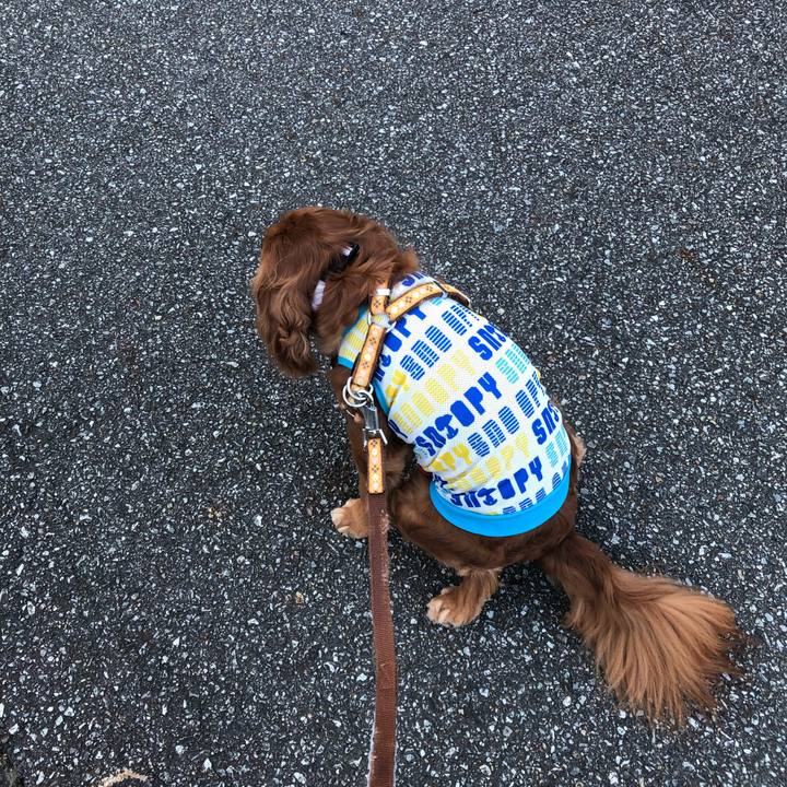 3fc91963 7c63 4faa 9d34 46cea1a693dc 1627209802890