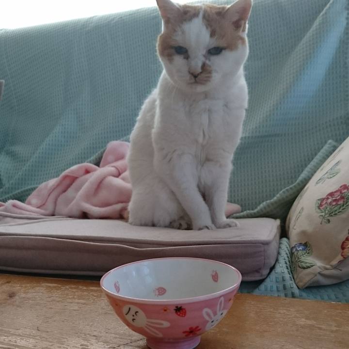 3fc94456 29f5 4130 9df0 6eb682fc79d2 1534722000342