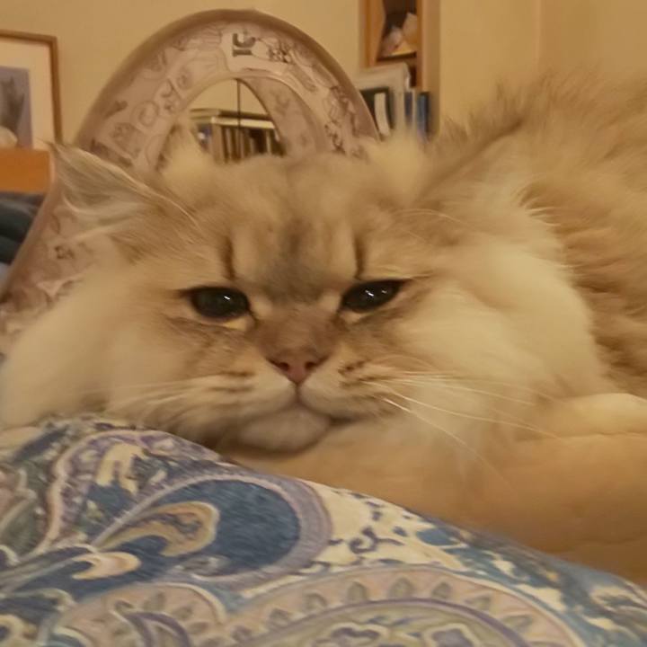 3fc94d02 a7bf 4346 a187 bef3c35e3431 1575249671129