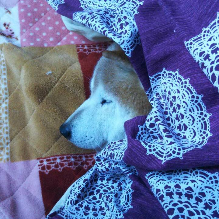 3fc9532c dffe 4dad 8cc1 0f8b6ef11c49 1518593264478