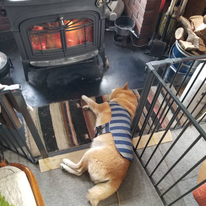 3fc9a98f 3cb2 4b1d 82a9 e1d214e6f8fb 1674975422705