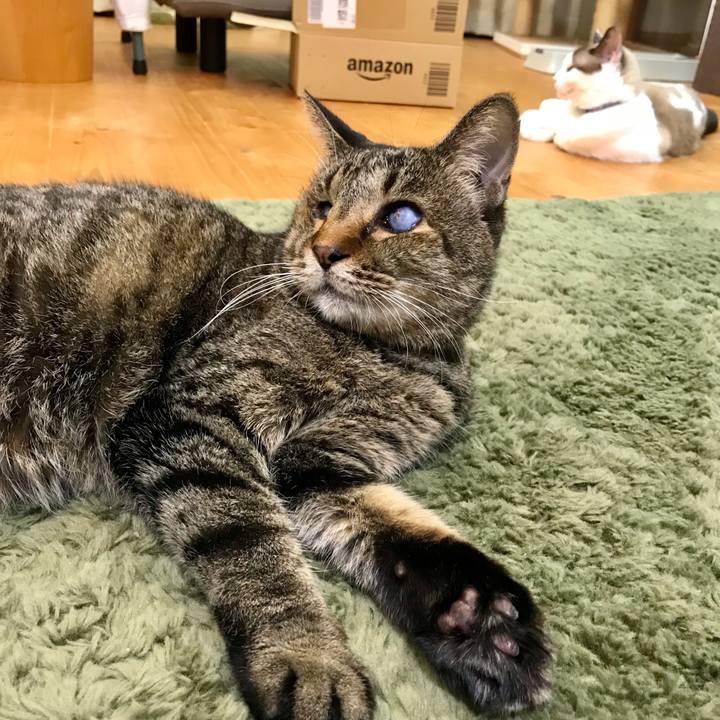 3fc9b30a 0370 481a 8f9c 739a6cf7ddc2 1631616478026