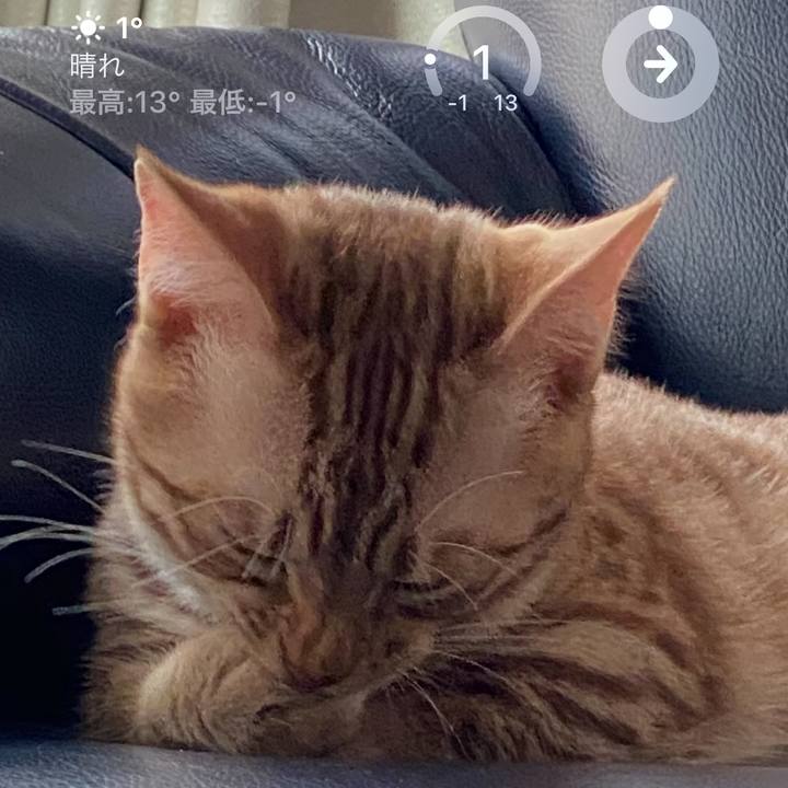 3fca1eb1 1f54 4efb ad13 30f7d6353eba 1673564994671