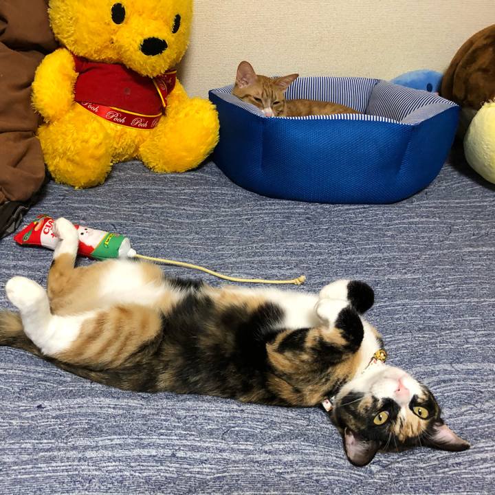 3fca4710 8e38 473d b084 a78d9c314e33 1568985294525