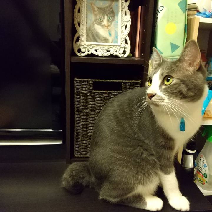 3fca6678 a4cc 45d3 9601 ecd4e35b57a7 1600176233151