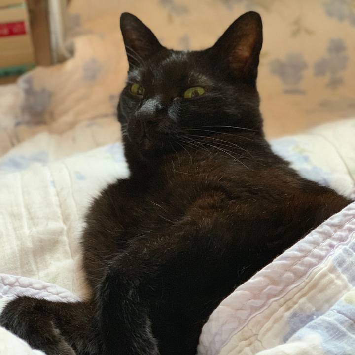 3fca68d7 78b1 4495 a6ee 1fc838ddb544 1561769727939