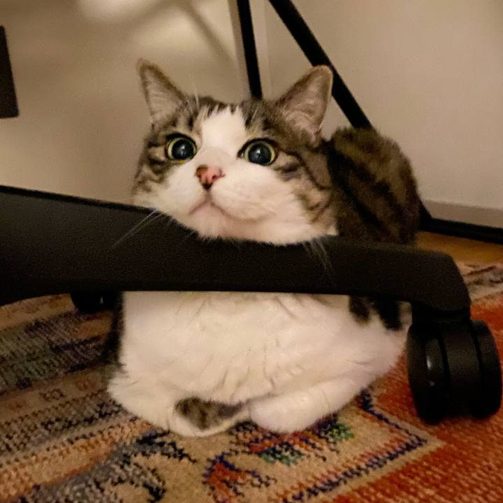 3fca6b6c 2c06 451c 984d 351a0cdd1725 1742954262476