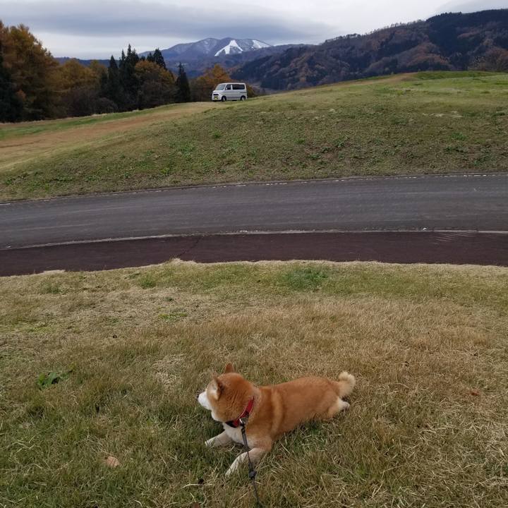 3fcad781 c4c7 4437 8e84 b2ff5000d78e 1732599072417