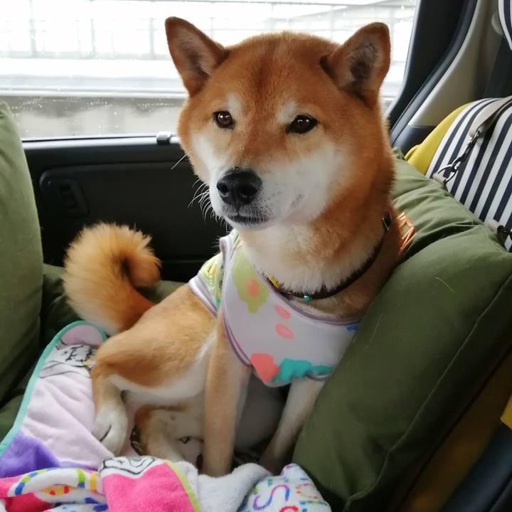 3fcaf2aa d80a 4ddf 8078 e315523964a9 1651402113037