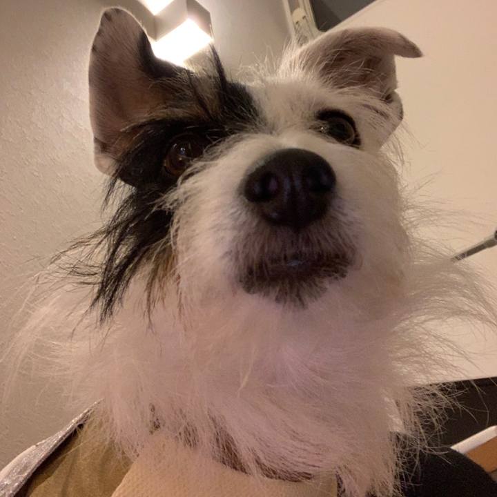 3fcb65d3 4864 4436 9842 1f4b3fec506c 1575896836725