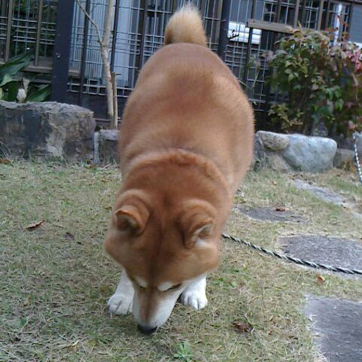 3fcb6dca 78dd 4de2 8269 11dbe1f64b33 1543290419736