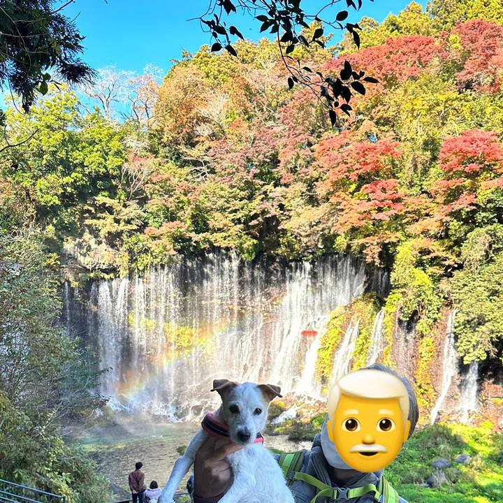 3fcb7920 5149 4286 bdcc 9f240b5a5617 1668850449123