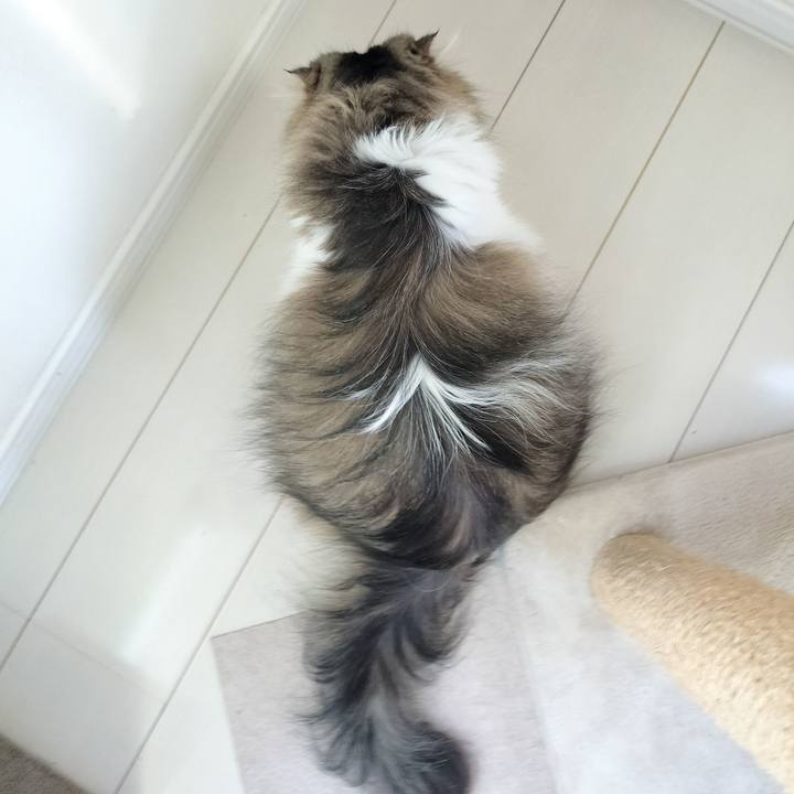 3fcb8613 c18e 4b1b 89fa c99ef92db71c 1775689405215