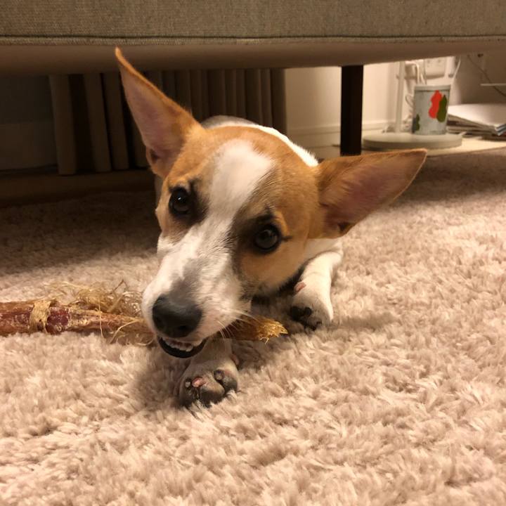 3fcba640 2ba5 4d6a a84f 434cc863a7bc 1557880374460