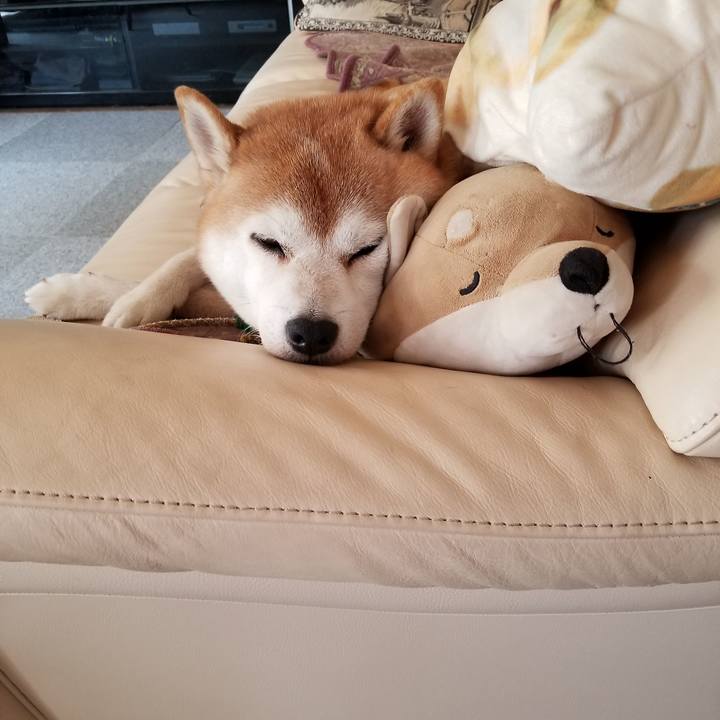 3fcbab6a 25e8 4d75 8022 59ba57f9668a 1632108120281