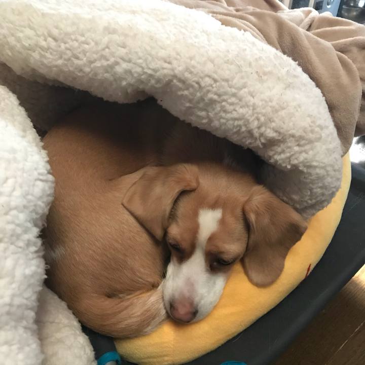 3fcbdcd4 ca74 4cd5 b7a8 6262b813e308 1522208083966