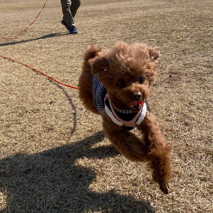 3fcbea03 2b42 492a 8f77 2f32541fa370 1613378811204