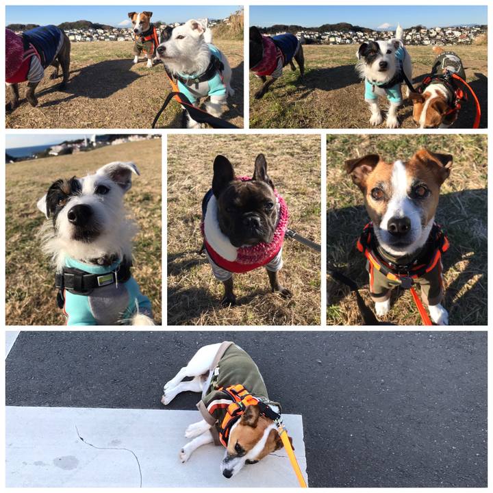 3fcbf447 5f74 4fa9 a54a aac362d3a509 1545182219278