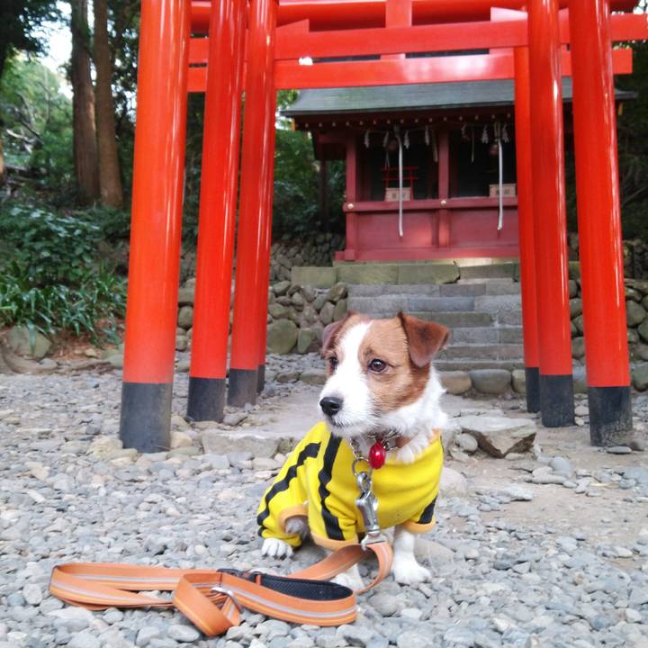 3fcbfb86 259a 4d11 9ff9 257cd730d445 1519702334250