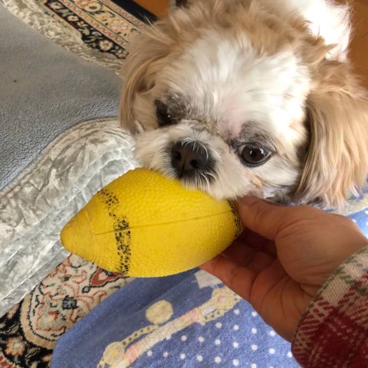 3fcbfbd7 b0b4 41a3 b100 7d52a47bda45 1549317733970