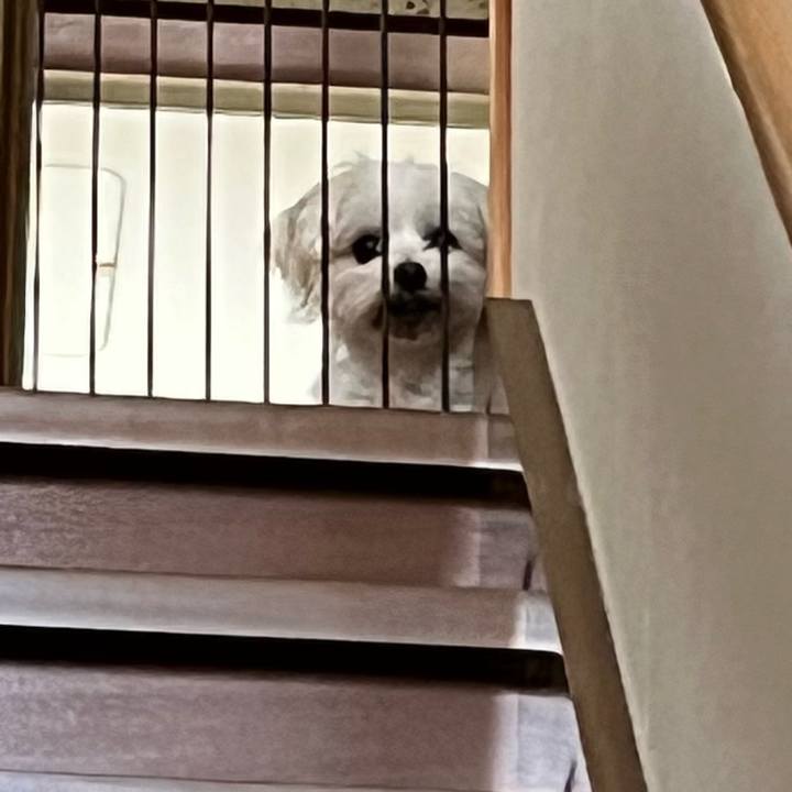 3fcc03dd 838c 4532 b6fb eaa5d3a295e7 1685248720518