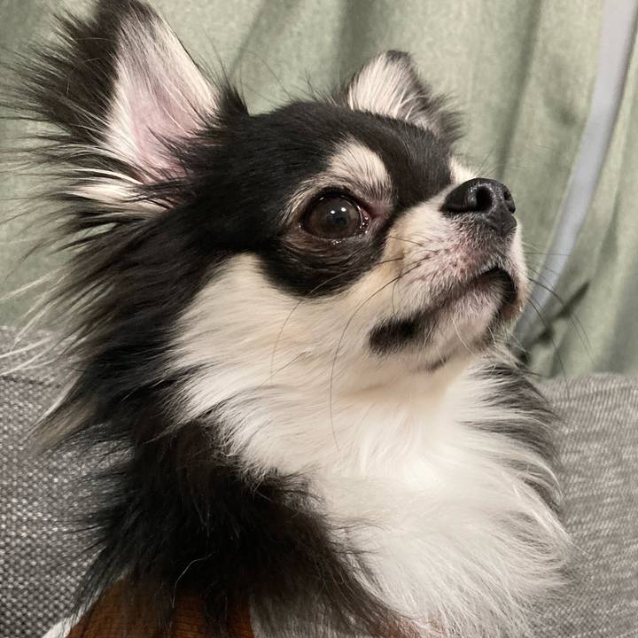 3fcc0c07 f38d 482d 9a97 4398246722f7 1613052844035