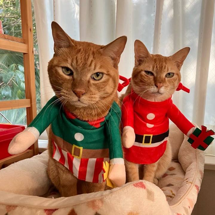 3fcc1e0b d7c8 4f9d 89a2 fea1c8ac9fce 1759270840156