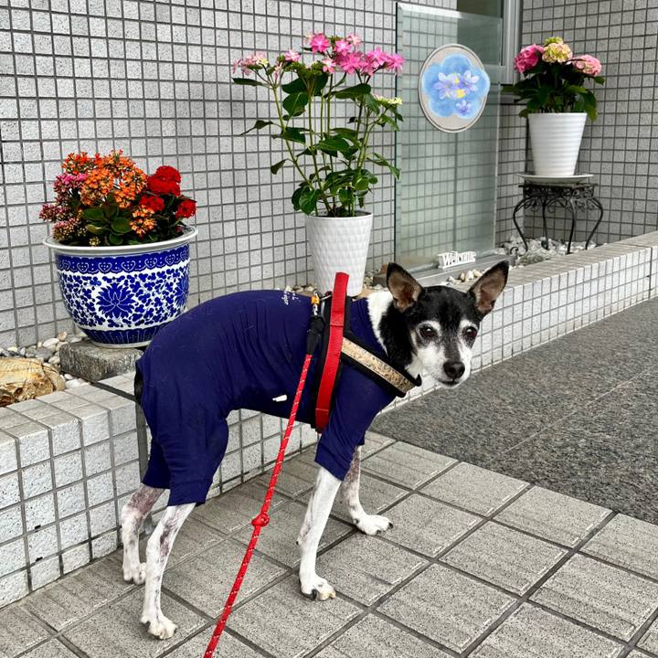 3fcc3eb8 c55a 478c 9db6 e75dcd4948fb 1652046490993