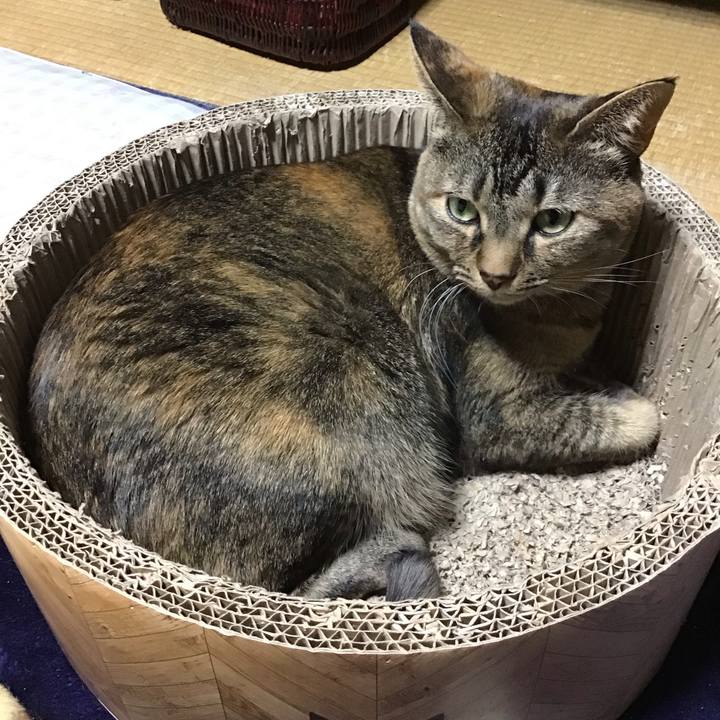 3fcc61e1 da20 432f 91a7 173357847aea 1707559715053