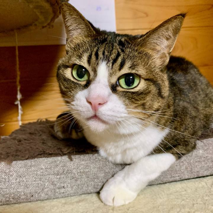 3fcca672 7d3b 4896 ba20 5b001a31db15 1639837171182