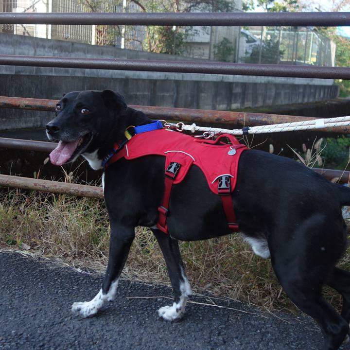 3fccc08d cb7a 457e 93b4 f1d245632a6d 1667436157209