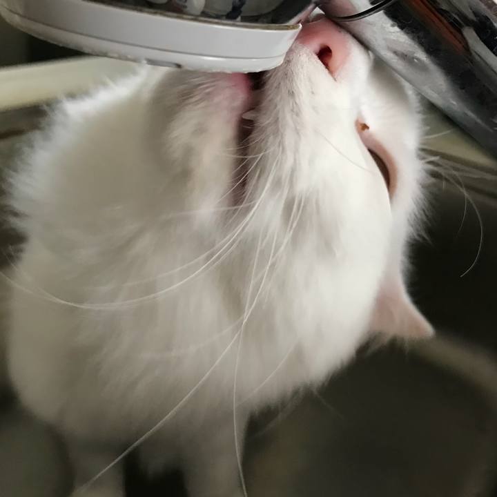 3fcccf9e ccc8 48cf 98b0 04b7d7a939a8 1520600761446