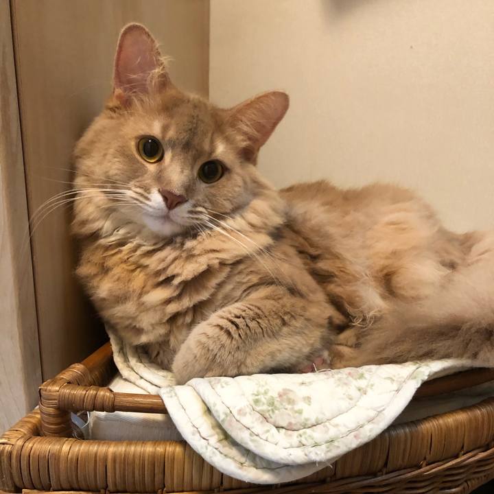 3fccd4ac 7bff 4646 a5d3 c4d9c5f95da1 1601005516218